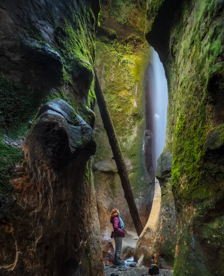 Moselle Marketing - Victoria, BC - Marketing Services